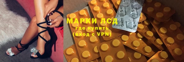 стафф Аркадак