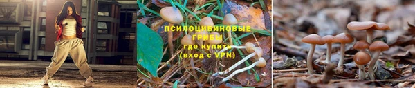 прущая мука Елизово
