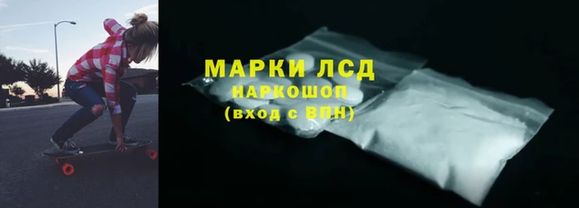 стафф Аркадак