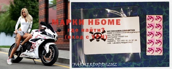 стафф Аркадак