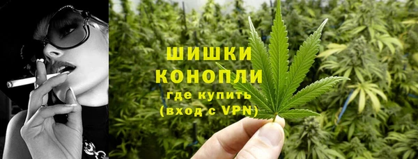 стафф Аркадак