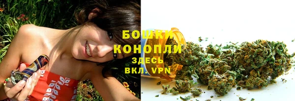 бошки Арсеньев