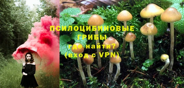 амф Армянск
