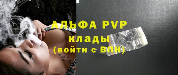 стафф Аркадак