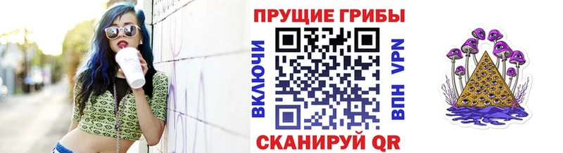 Псилоцибиновые грибы мицелий  где продают   Бавлы 